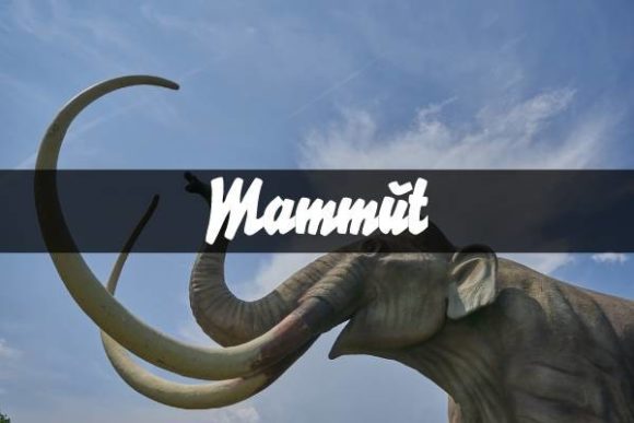 Mammut: A Practical Look at Peter Wiegel’s Handwritten Font for Modern Branding